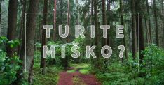 Miško supirkimas