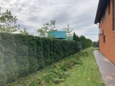 Gyvatvorių karpymas, formavimas
