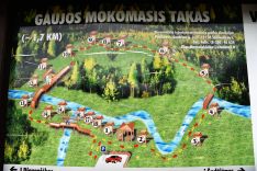 Pėsčiųjų maršrutai