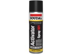 Activator Spray 601