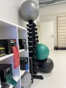 Kineziterapeutai