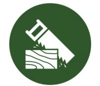 Remontas, renovacija