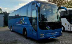 Autobusų nuoma su vairuotoju 49+1+1