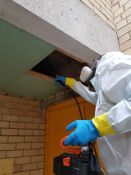 Blakių, tarakonų, pelių, žiurkių ir kitų kenkėjų naikinimas Vilniuje įmonėms ir daugiabučiams