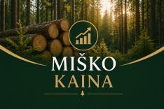 Miško kaina