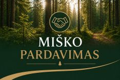 Miško pardavimas