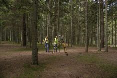 ŽEMĖS SKLYPŲ KADASTRINIAI (GEODEZINIAI) MATAVIMAI