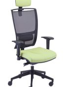 Ergonominės kėdės biurui Royce