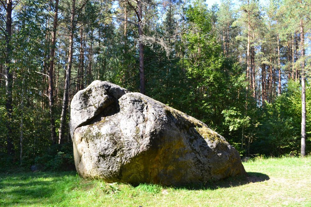 Didysis Dzūkijos akmuo