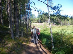 Čepkelių rezervatas ir mokomasis takas