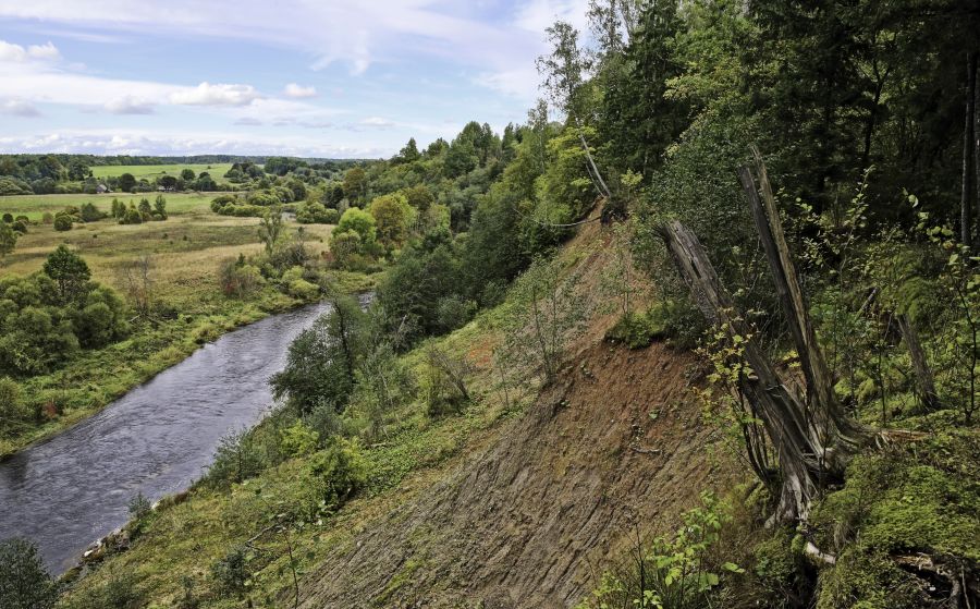 Genių atodanga