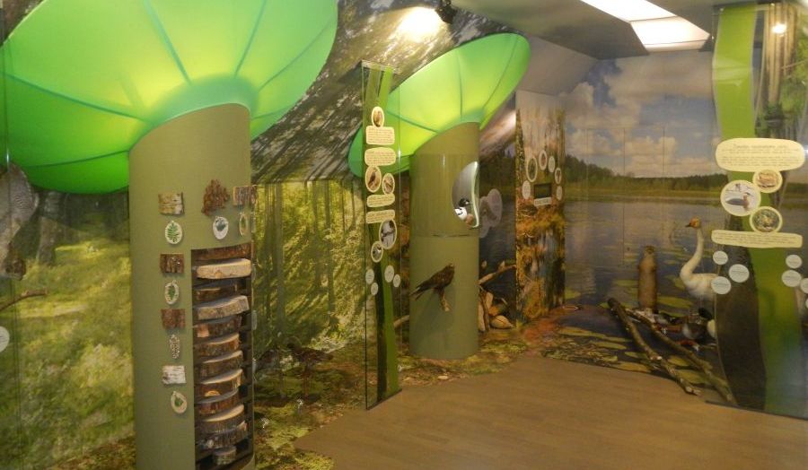 Platelių lankytojų centras – ekspozicija “Žemaitijos žemės slėpiniai”