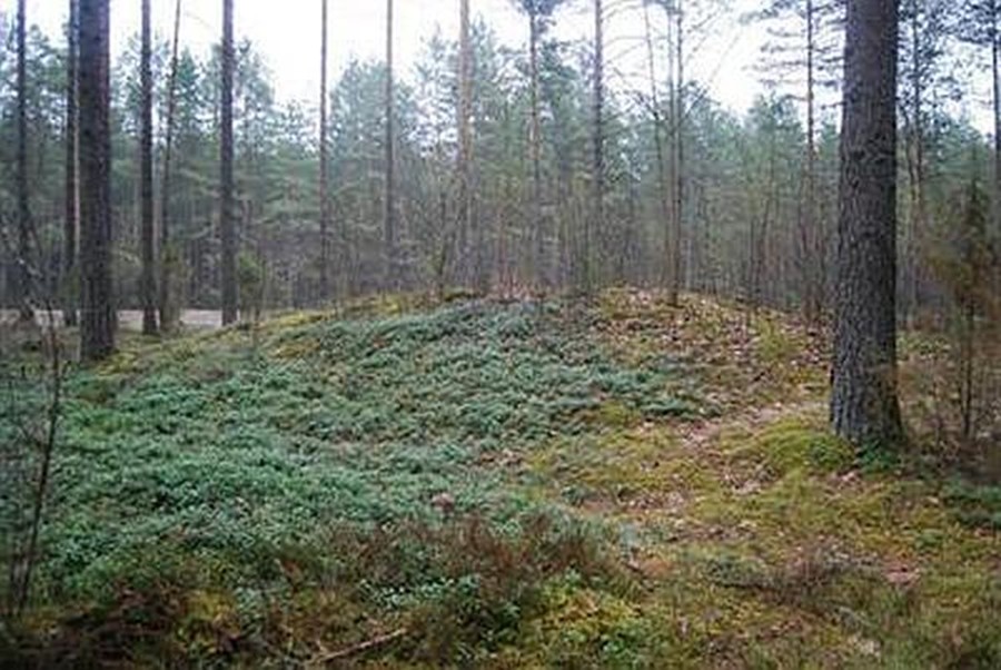 Baliulių pilkapiai