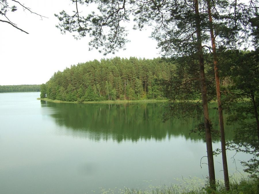 Baluošos piliakalnis
