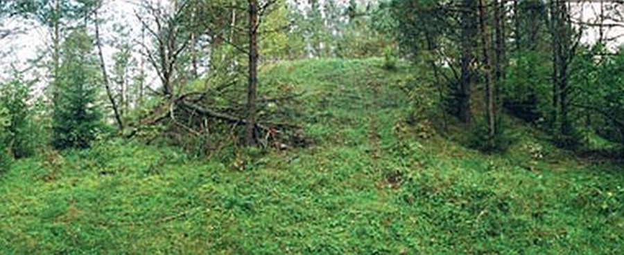 Bogutiškės piliakalnis