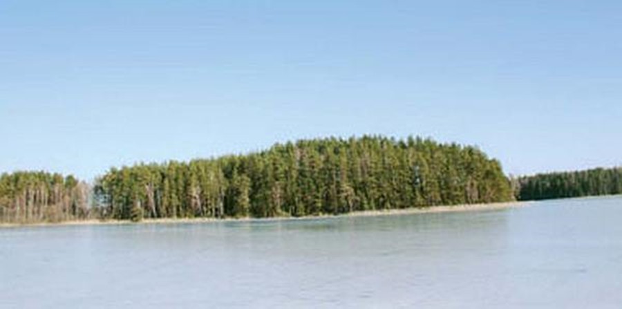 Budrių piliakalnis