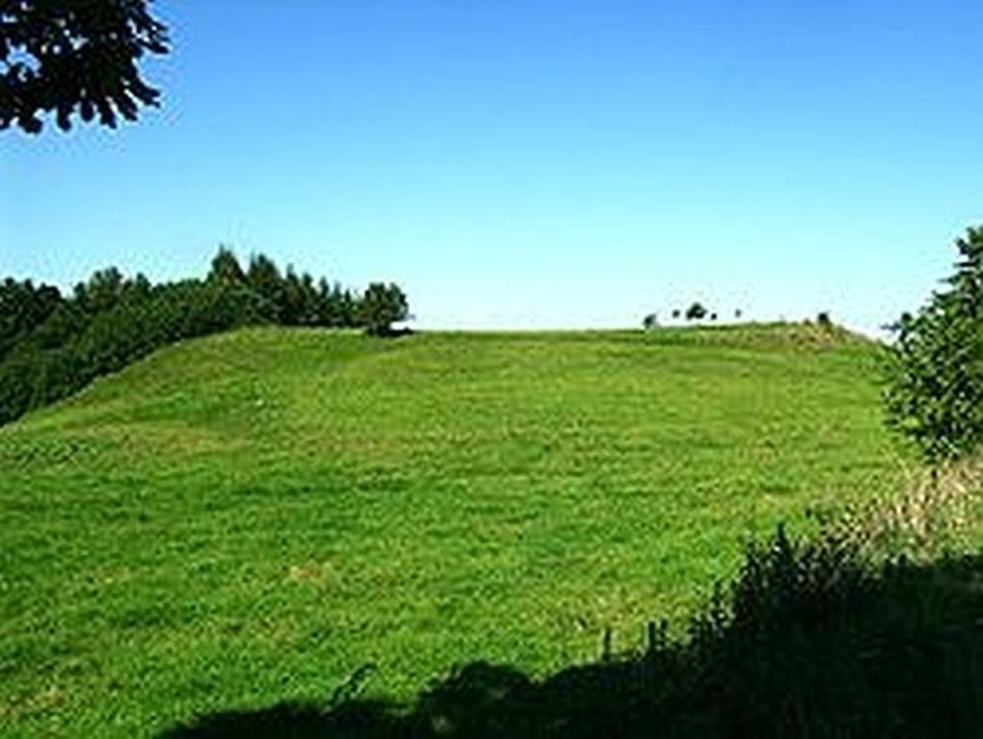 Prienų piliakalnis