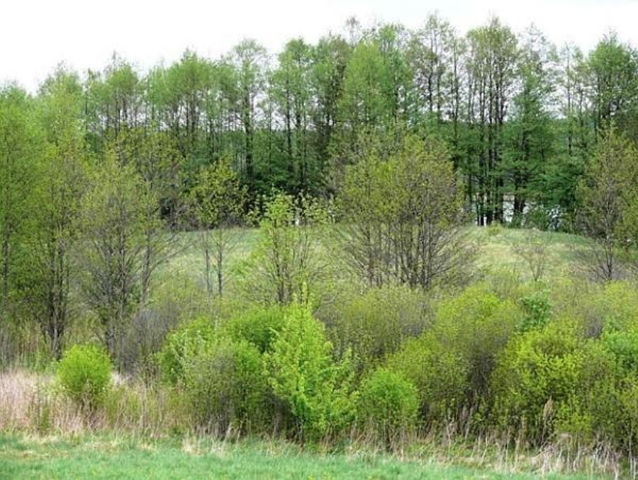 Rakštelių piliakalnis