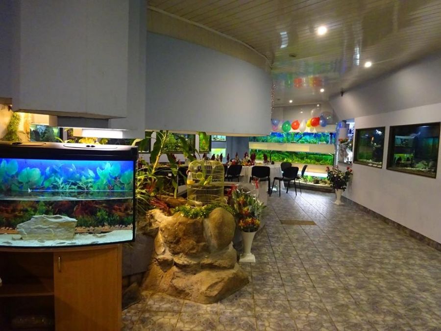 Akvariumų salonas