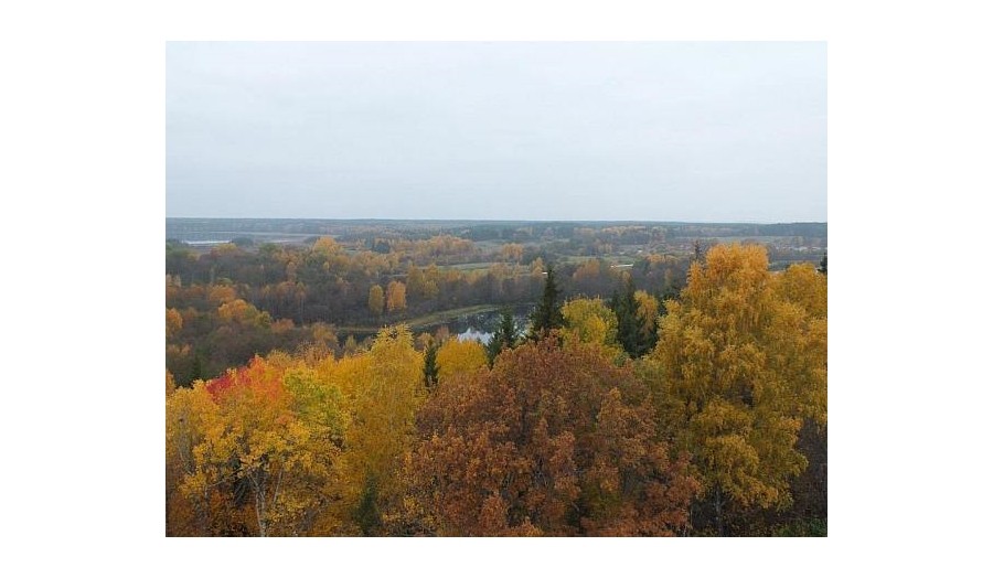 Lygumų apžvalgos bokštas