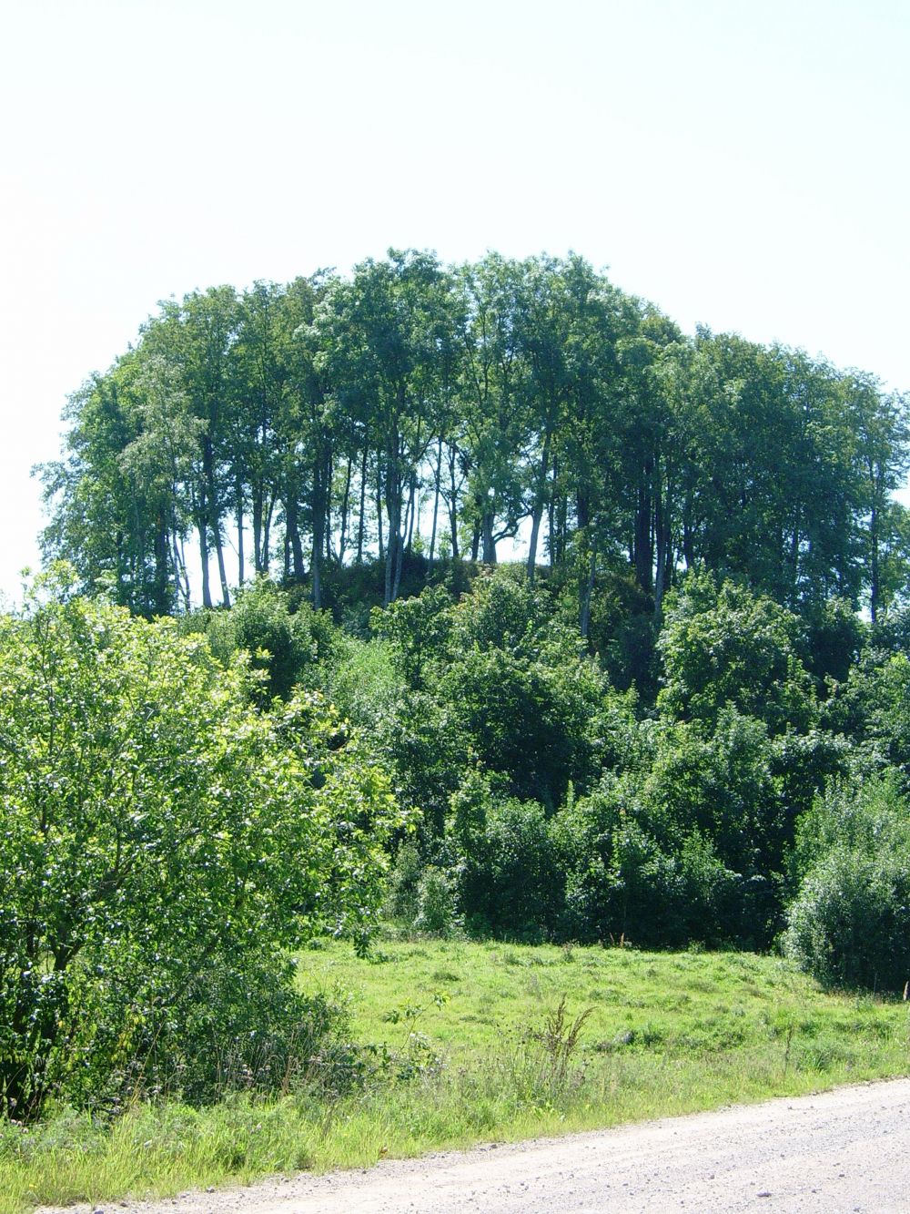 Pagrybio piliakalnis