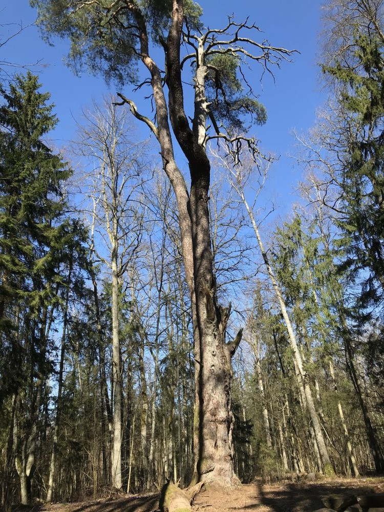 Kaišiadorių r. pažintiniai takai