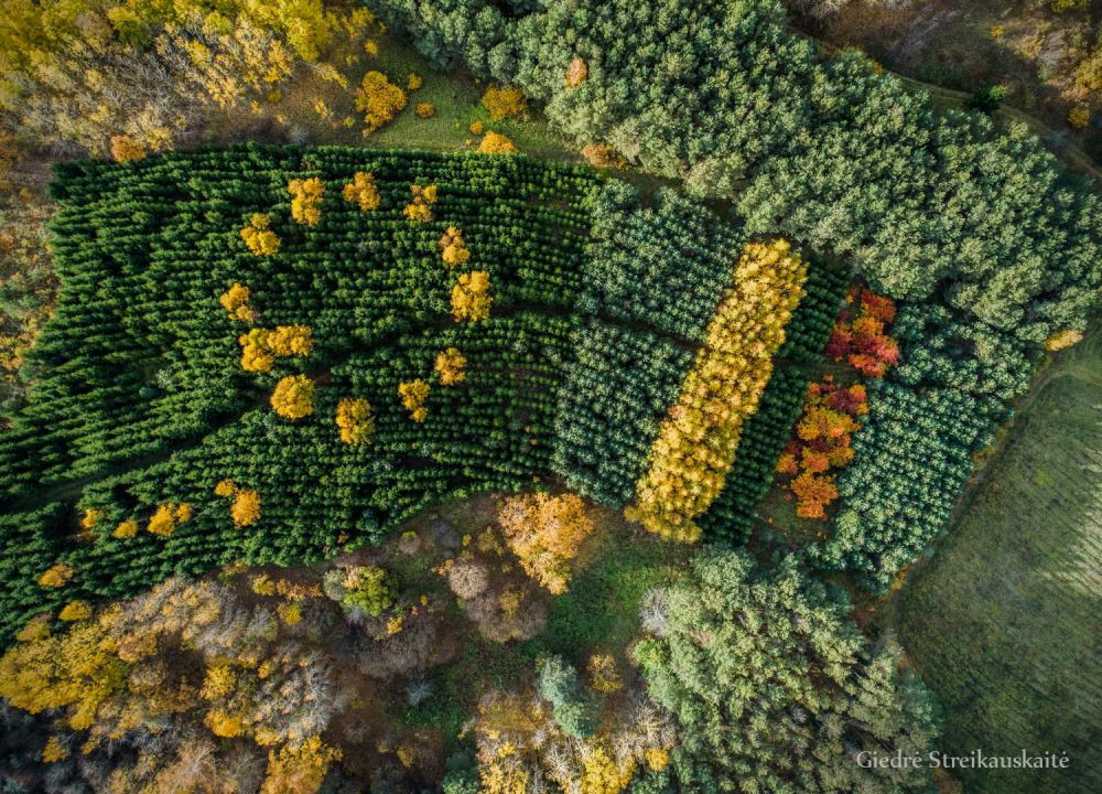 Unikalios ir vienintelės vietos Kaišiadorių r.