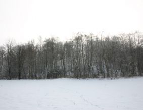 Puodkalių piliakalnis