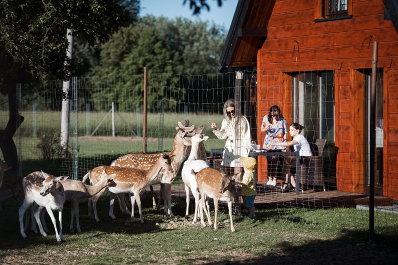 Neįprastos nakvynės vietos Kaišiadorių rajone