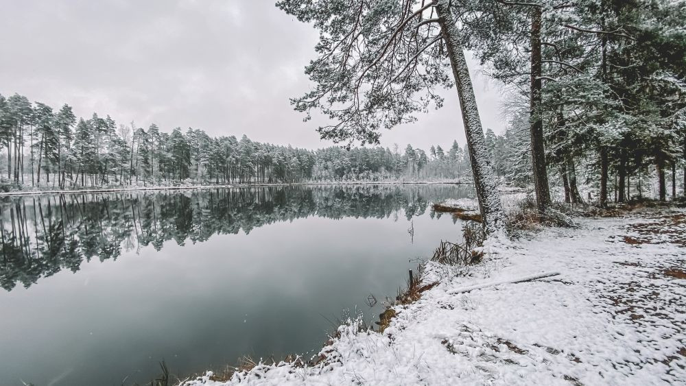 Pasivaikščiojimas po Gegužinės mišką aplink du ežerus