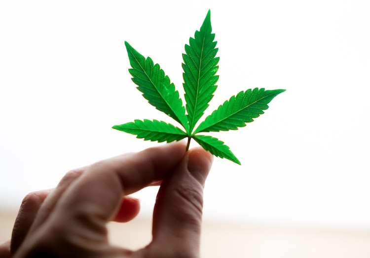Ar CBD aliejus gali palengvinti epilepsijos simptomus?