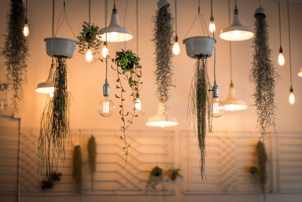 led apsvietimas