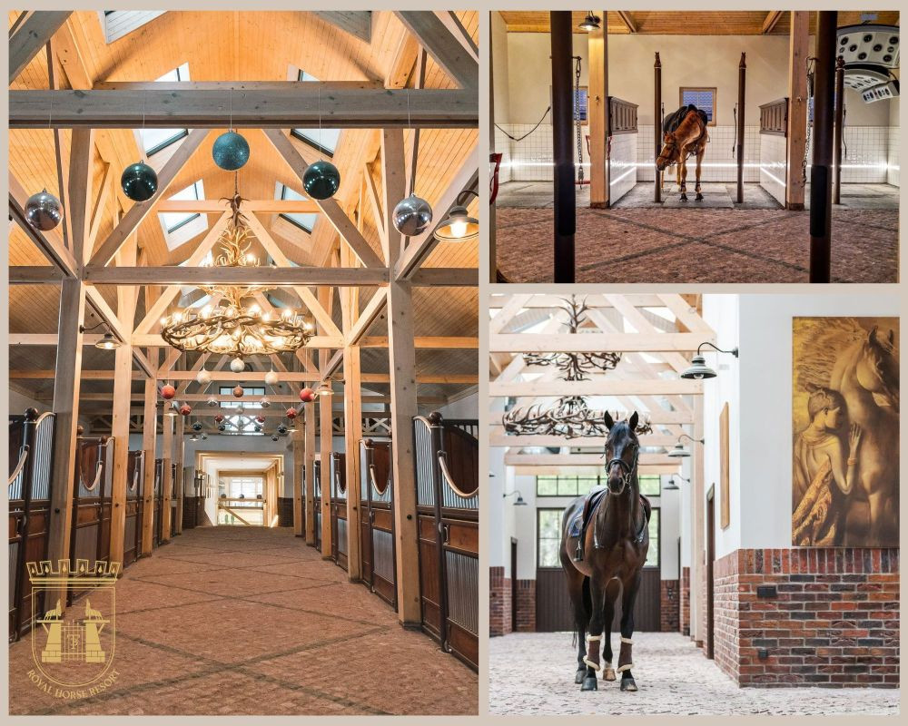 „Royal Horse Resort” kviečia apsilankyti inovatyvioje jojimo bazėje