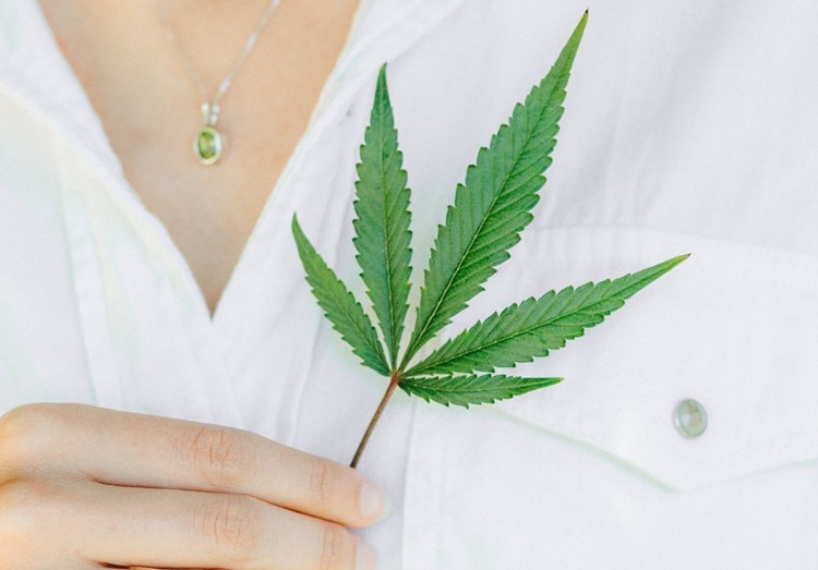 Kuo skirasi kanabinoidai – CBD, CBN, CBG?