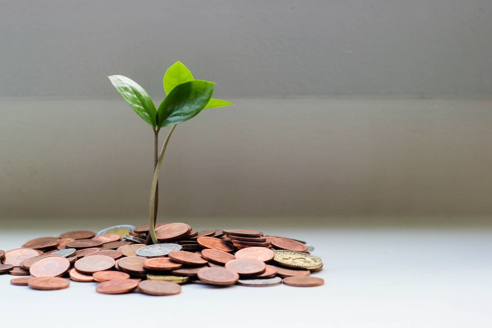 Kokiomis savybėmis turi pasižymėti geras finansininkas?