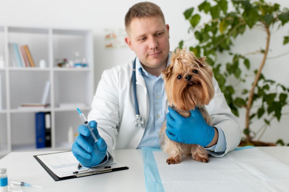 Kaip išsirinkti gerą veterinarijos kliniką už gerą kainą?