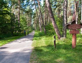 Žvėrinčiaus miško takas - 15 km