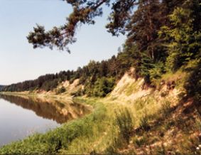 Škėvonių atodanga