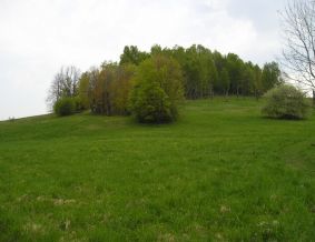 Dovilų piliakalnis