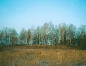 Laistų piliakalnis