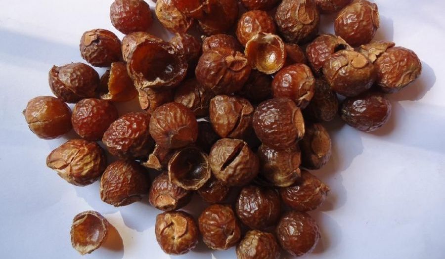 skalbiamieji muilo riešutai