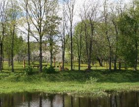 Senosios klebonijos (Užupio) parkas